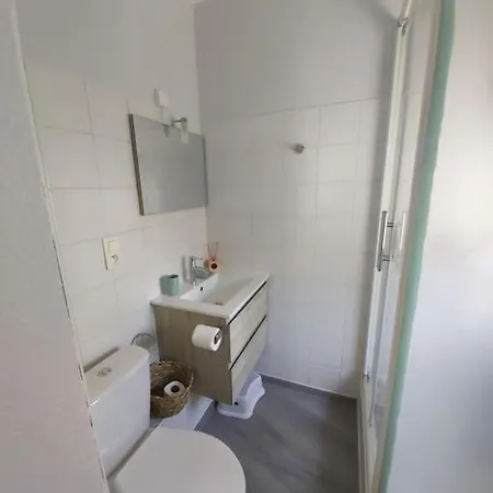 Appartement Le Jungle - Hyper Centre - Wifi Lourdes