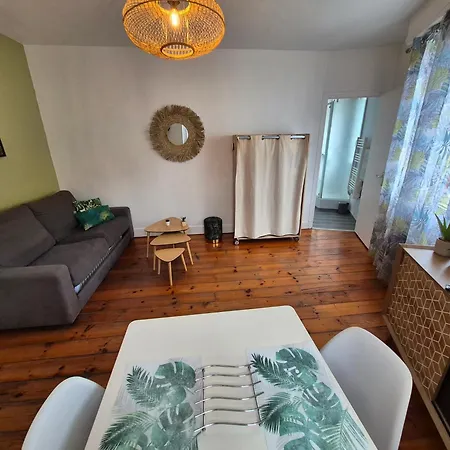 Apartment Le Jungle - Hyper Centre - Wifi Lourdes