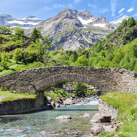 Le Jungle - Hyper Centre - Wifi