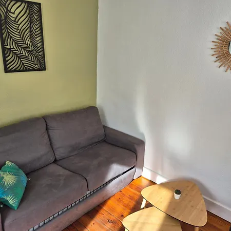 Le Jungle - Hyper Centre - Wifi Apartment