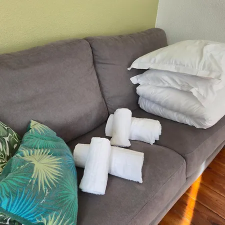 Le Jungle - Hyper Centre - Wifi Apartment Lourdes