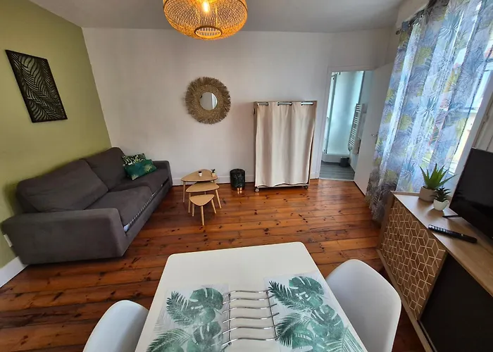 Apartmán Le Jungle - Hyper Centre - Wifi Lurdy