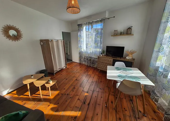 Apartmán Le Jungle - Hyper Centre - Wifi