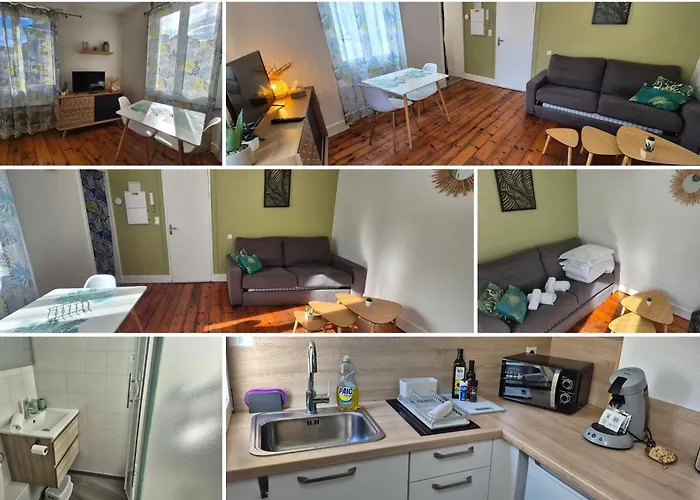 Apartmán Le Jungle - Hyper Centre - Wifi *