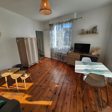 Appartement Le Jungle - Hyper Centre - Wifi