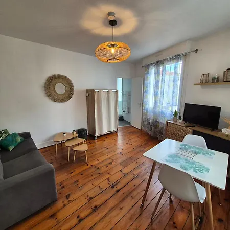 Le Jungle - Hyper Centre - Wifi Appartement *