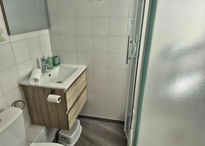 Appartement Le Jungle - Hyper Centre - Wifi *