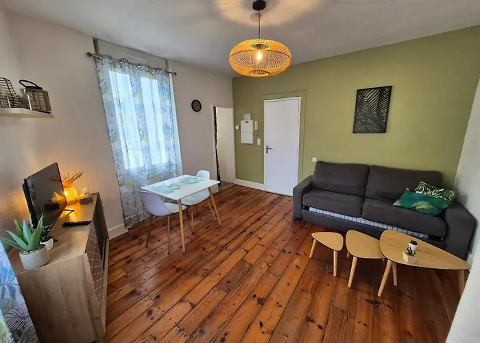 Appartement Le Jungle - Hyper Centre - Wifi Lourdes