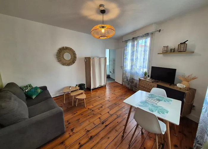 Le Jungle - Hyper Centre - Wifi Appartement *