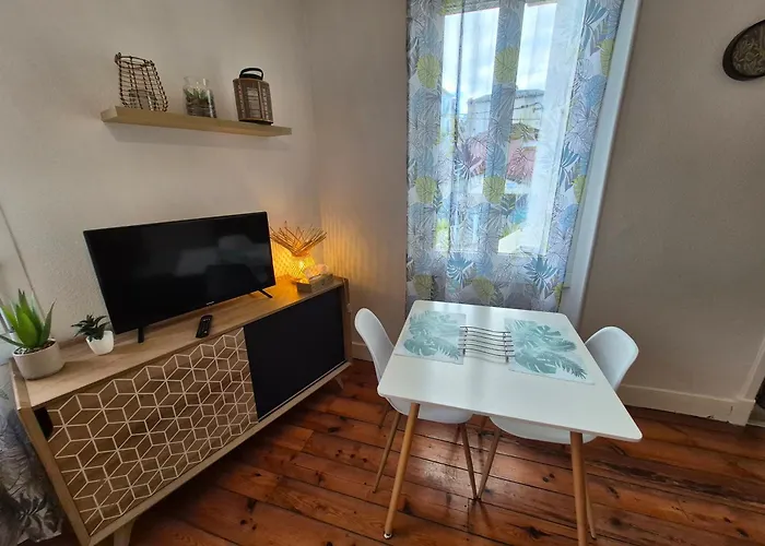 Le Jungle - Hyper Centre - Wifi Appartement Lourdes