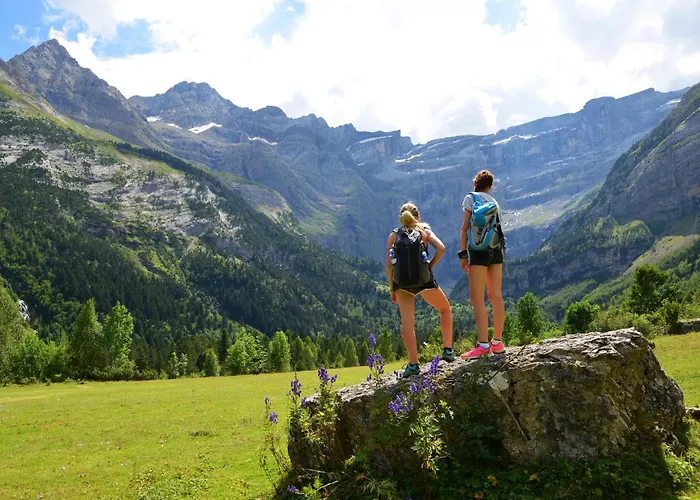 Appartement Le Jungle - Hyper Centre - Wifi