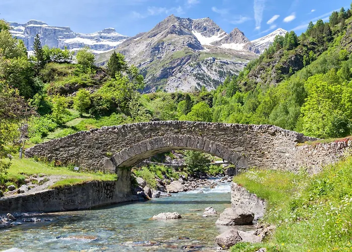 Le Jungle - Hyper Centre - Wifi