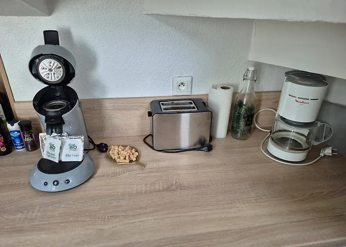 Le Jungle - Hyper Centre - Wifi 公寓 卢德